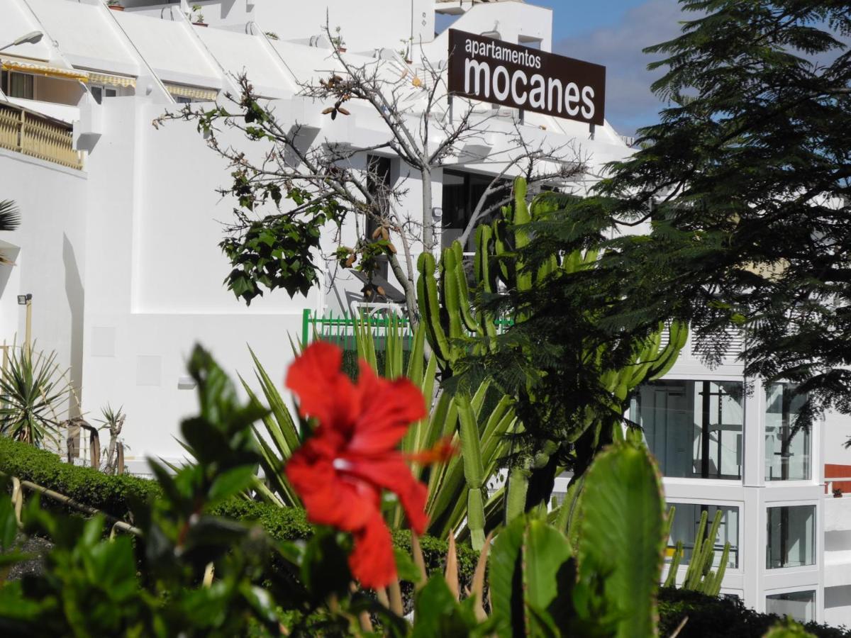 Apartamentos Los Mocanes プエルトリコ エクステリア 写真